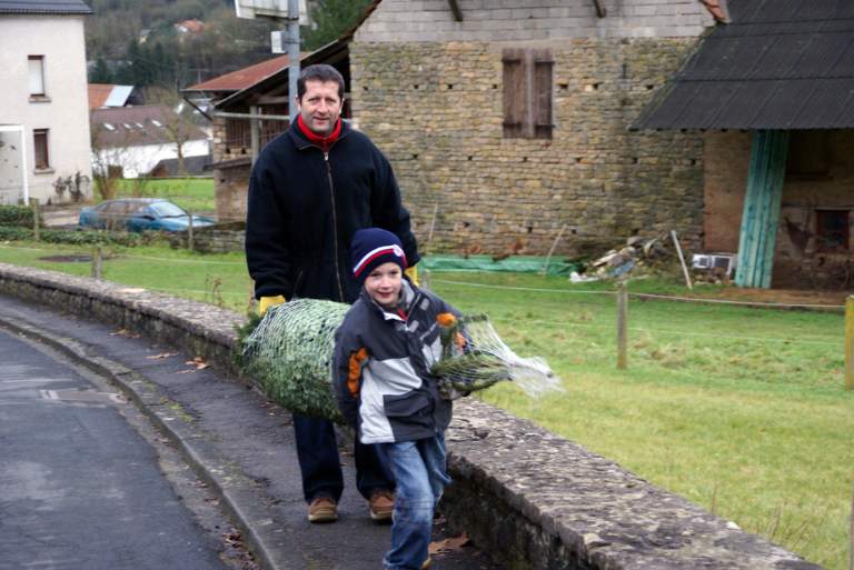 Weihnachtsbaumverkauf 2008 Bild Nr.002